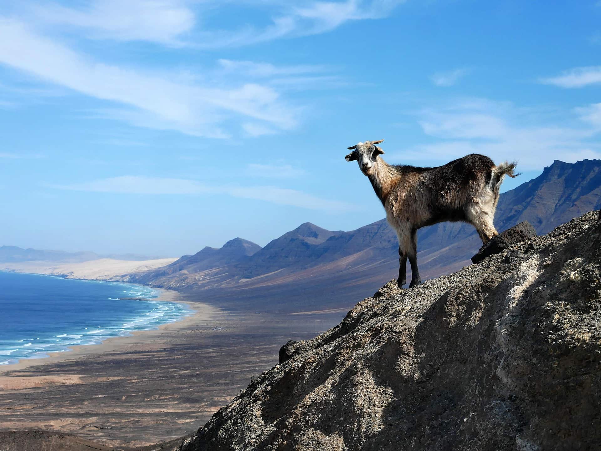 Ghid sezonier pentru vizitarea Cretei